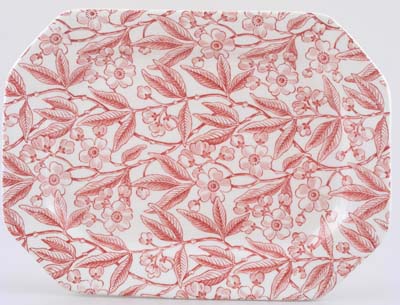 Meat Dish or Platter rectangular medium large